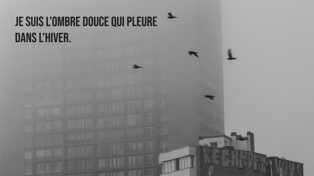 Photo d'illustration de nos derniers évènements